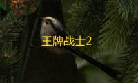 王牌战士2